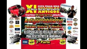 XI Exposição de Praia Seca-RJ-1ªParte.